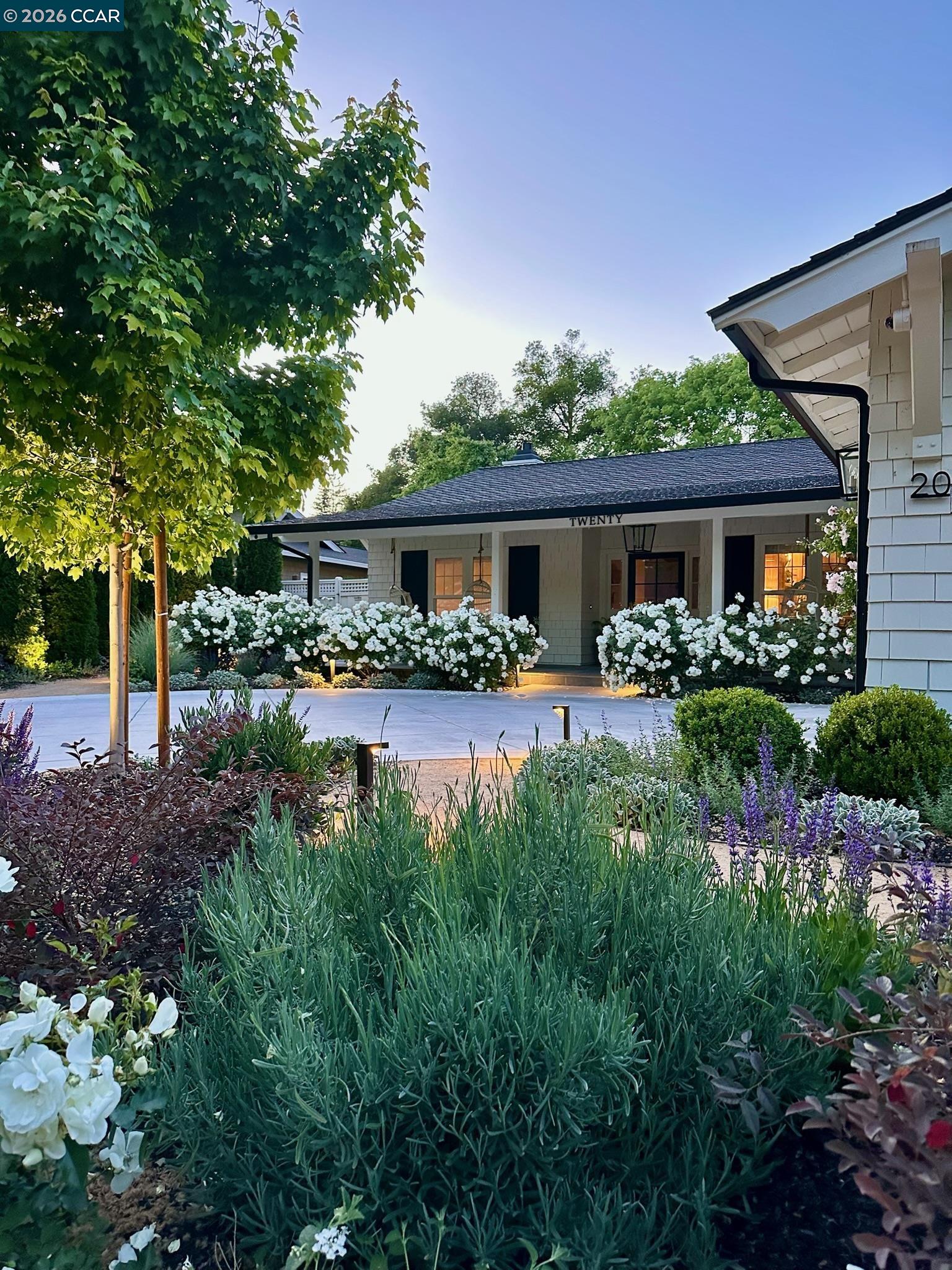 Front Image Thumbnail for CC41126393