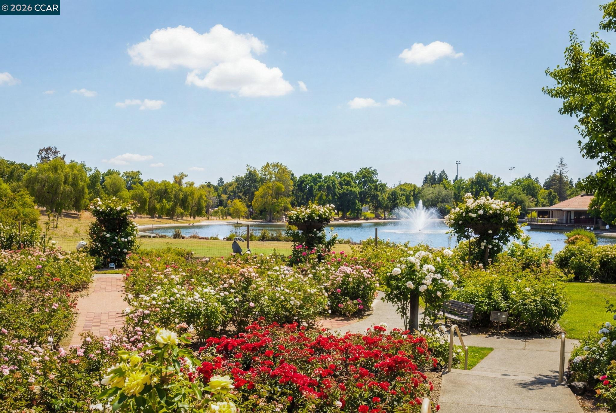 Photo #21: 41126401 Listing: Photo #21