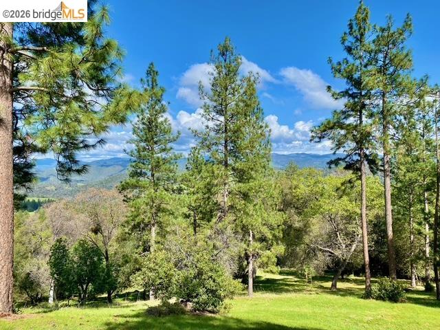 Detail Gallery Image 2 of 52 For 19071 Jones Hill Ct, Groveland,  CA 95321 - – Beds | – Baths