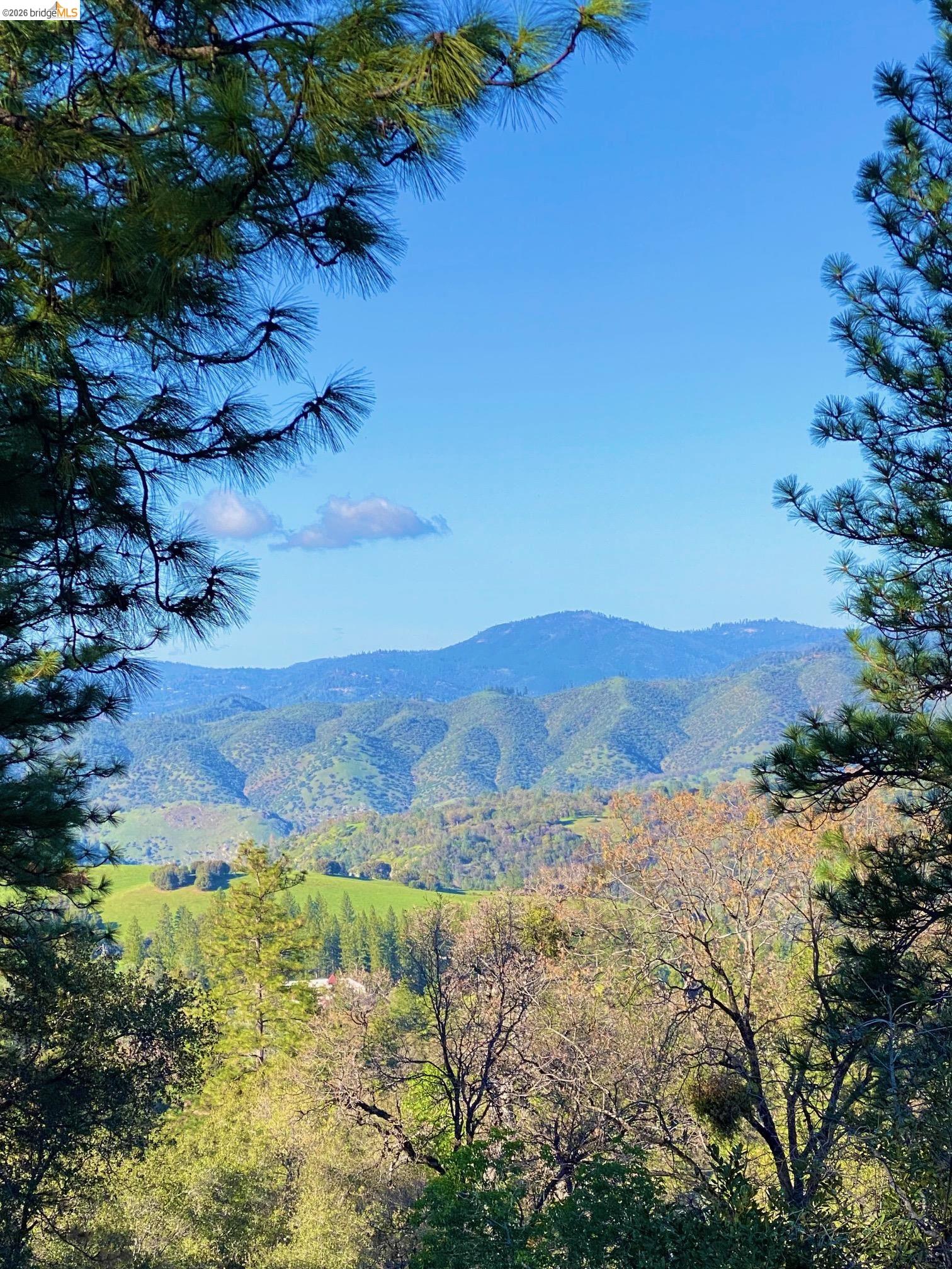 Detail Gallery Image 11 of 52 For 19071 Jones Hill Ct, Groveland,  CA 95321 - – Beds | – Baths