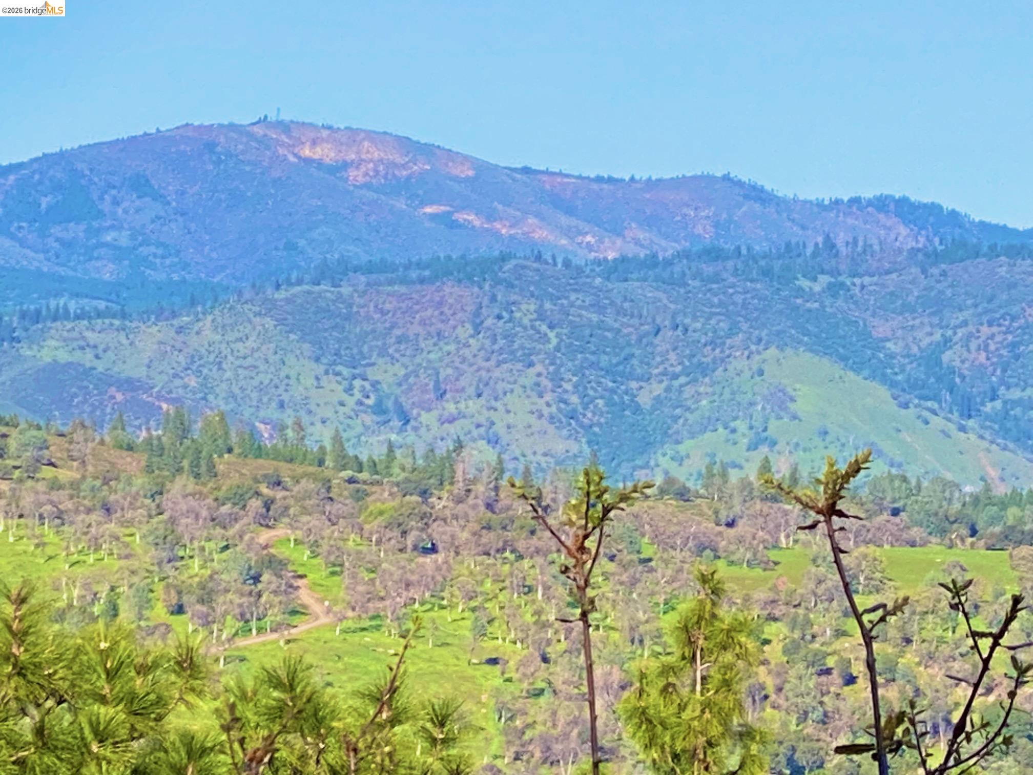 Detail Gallery Image 15 of 52 For 19071 Jones Hill Ct, Groveland,  CA 95321 - – Beds | – Baths