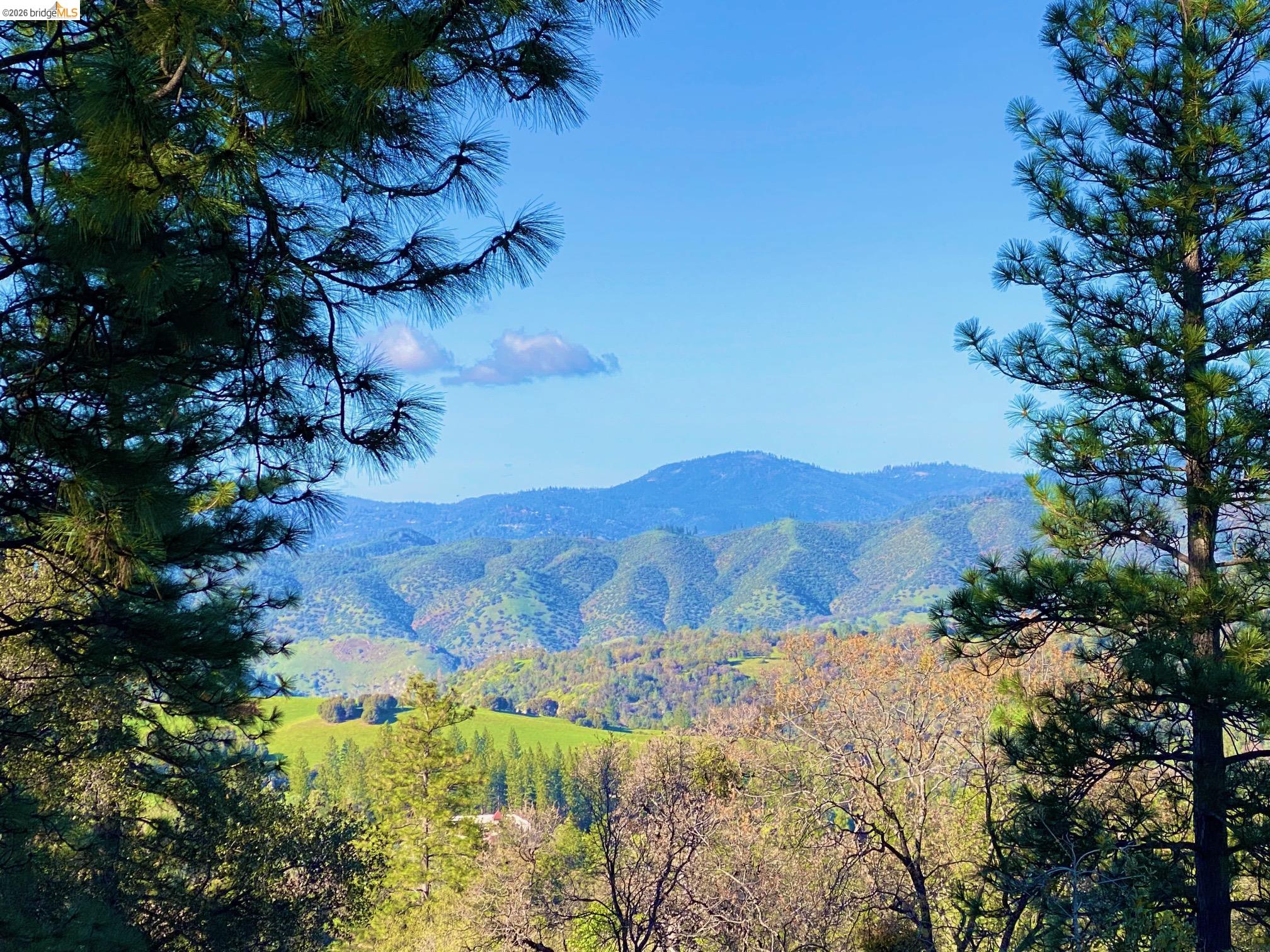 Detail Gallery Image 3 of 52 For 19071 Jones Hill Ct, Groveland,  CA 95321 - – Beds | – Baths