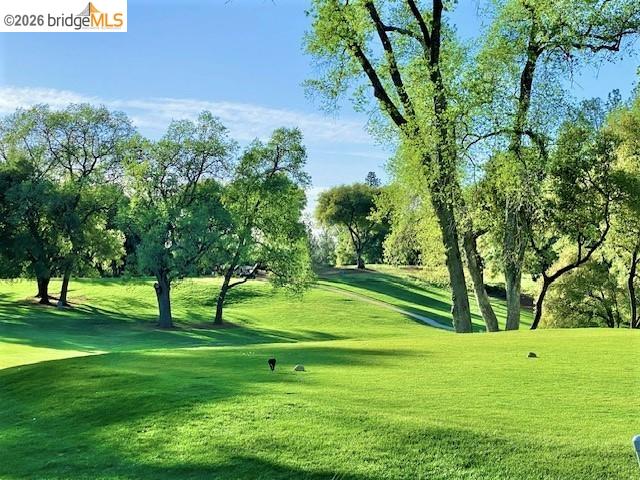 Detail Gallery Image 23 of 52 For 19071 Jones Hill Ct, Groveland,  CA 95321 - – Beds | – Baths