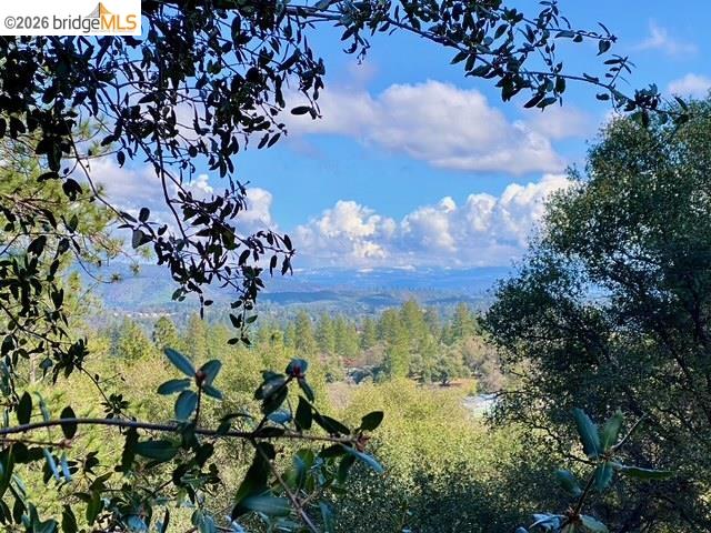 Detail Gallery Image 4 of 52 For 19071 Jones Hill Ct, Groveland,  CA 95321 - – Beds | – Baths