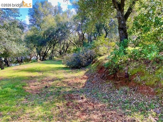 Detail Gallery Image 5 of 52 For 19071 Jones Hill Ct, Groveland,  CA 95321 - – Beds | – Baths