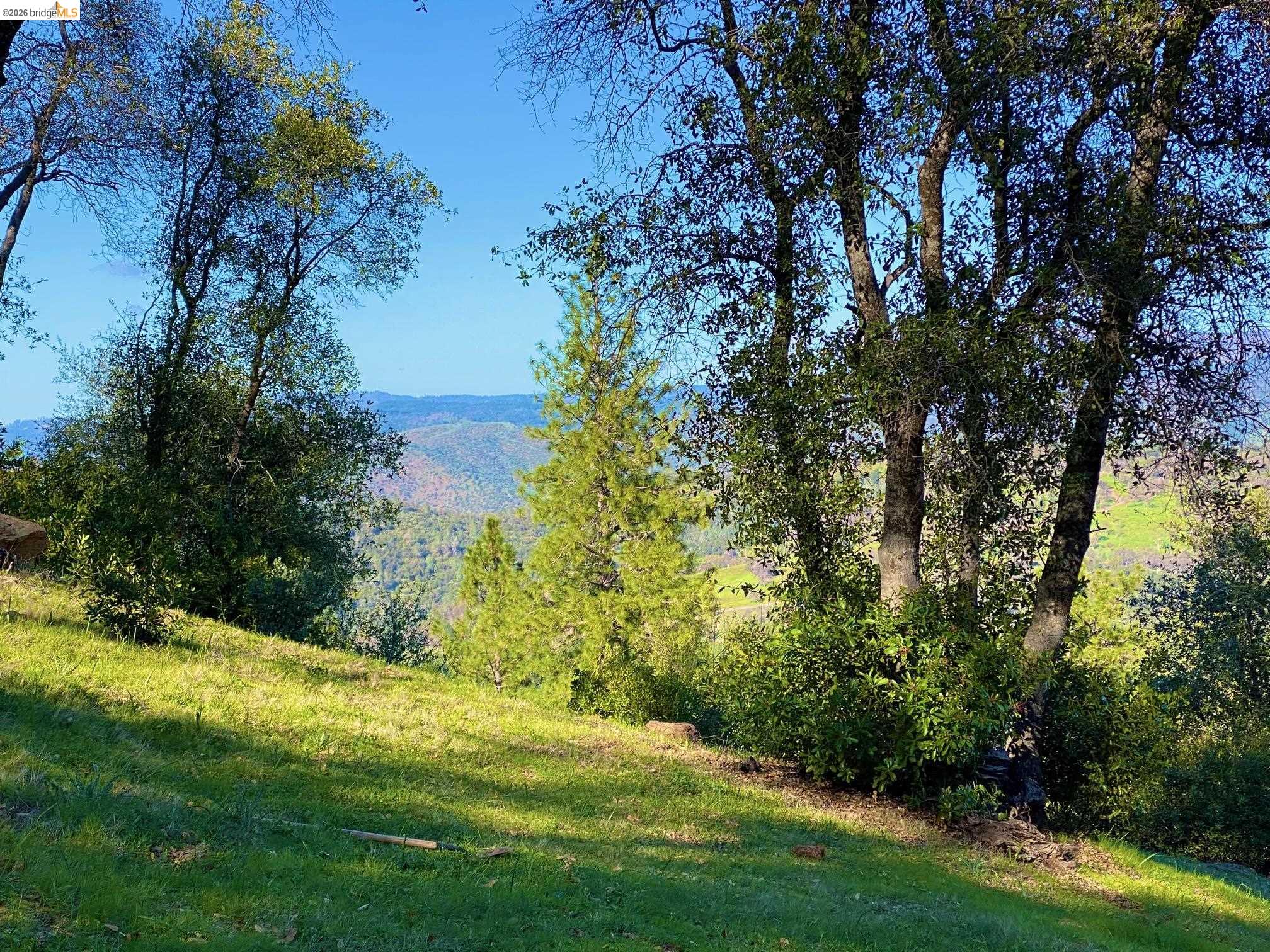 Detail Gallery Image 7 of 52 For 19071 Jones Hill Ct, Groveland,  CA 95321 - – Beds | – Baths