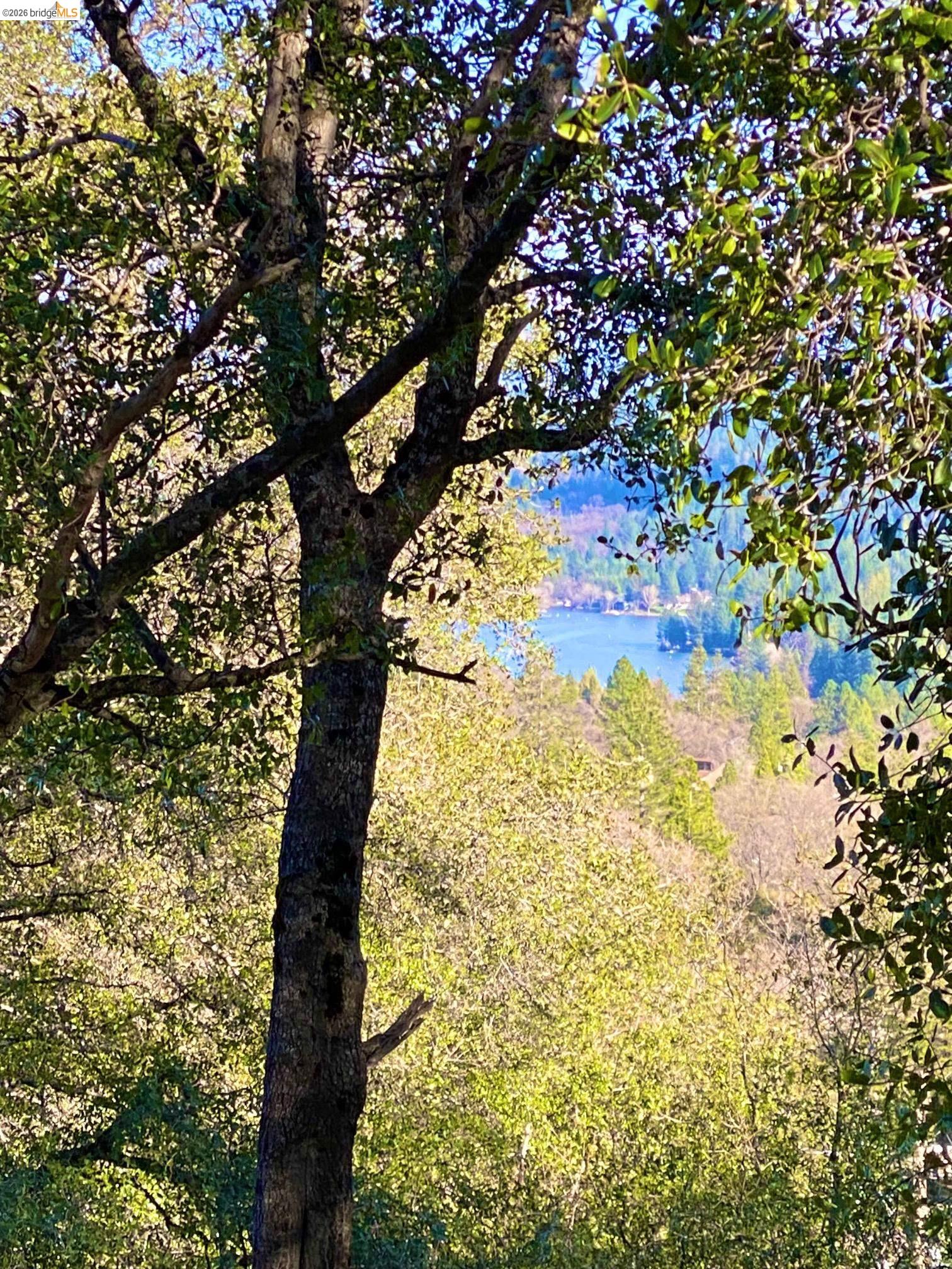 Detail Gallery Image 10 of 52 For 19071 Jones Hill Ct, Groveland,  CA 95321 - – Beds | – Baths