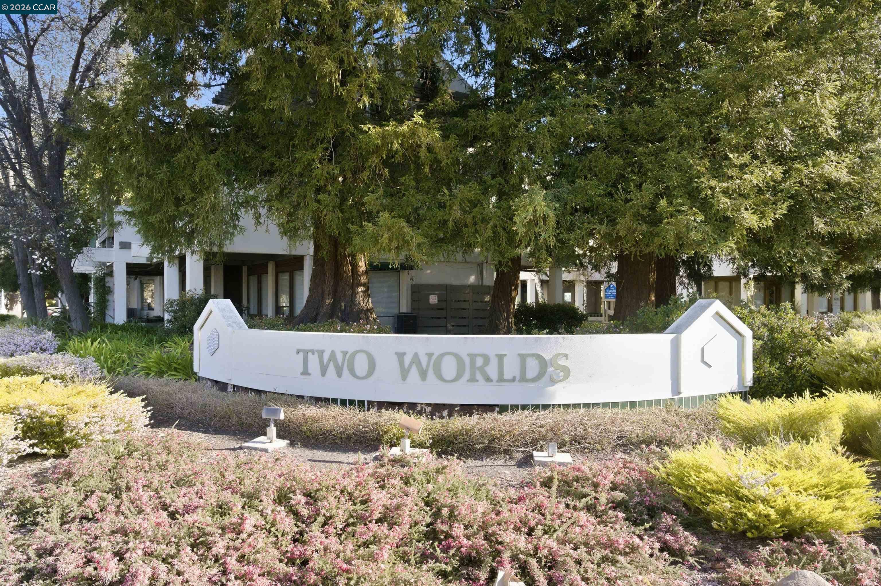 Photo #58: 41126409 Listing: Photo #58