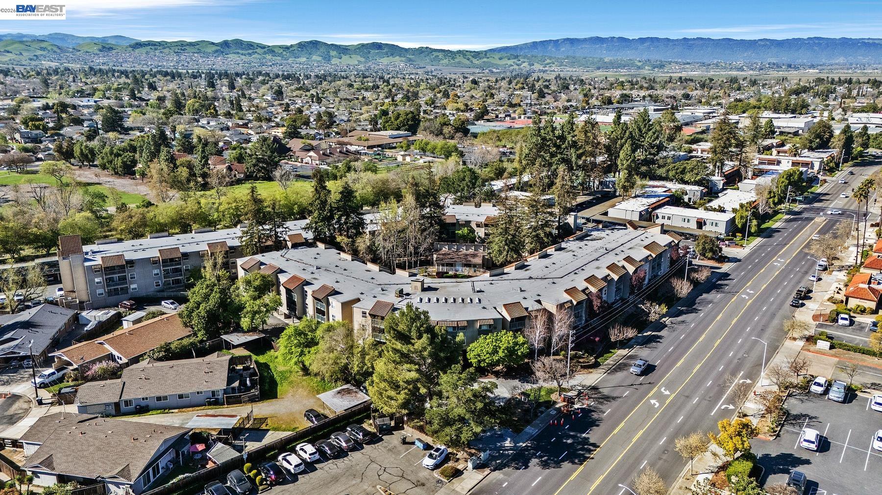 Photo #51: 41126415 Listing: Photo #51