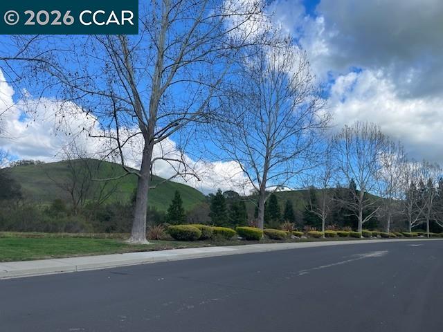 Detail Gallery Image 53 of 53 For 1038 Mccauley Rd, Danville,  CA 94526 - 4 Beds | 3/1 Baths