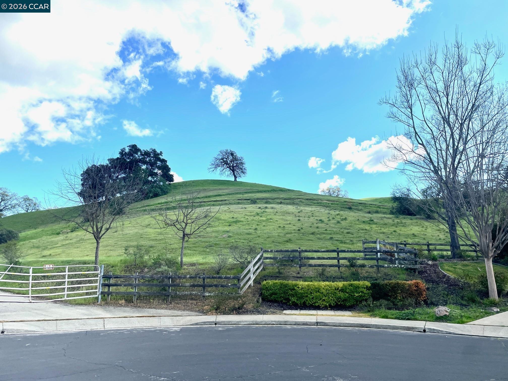 Detail Gallery Image 60 of 60 For 1038 Mccauley Rd, Danville,  CA 94526 - 4 Beds | 3/1 Baths