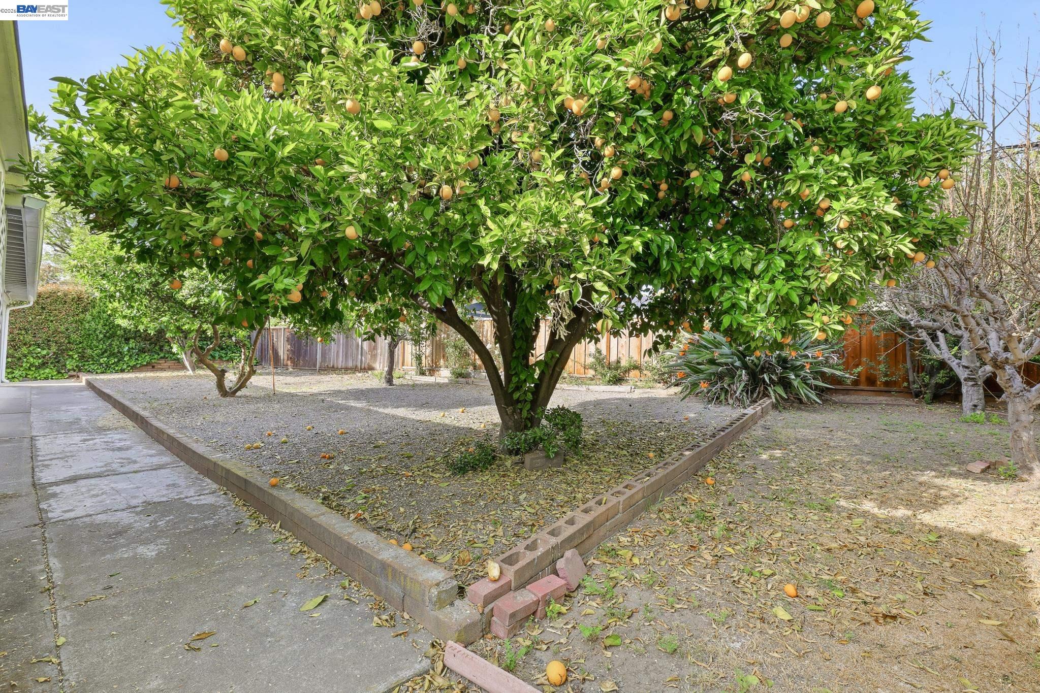 Detail Gallery Image 53 of 59 For 40242 Crockett St, Fremont,  CA 94538 - 4 Beds | 2 Baths