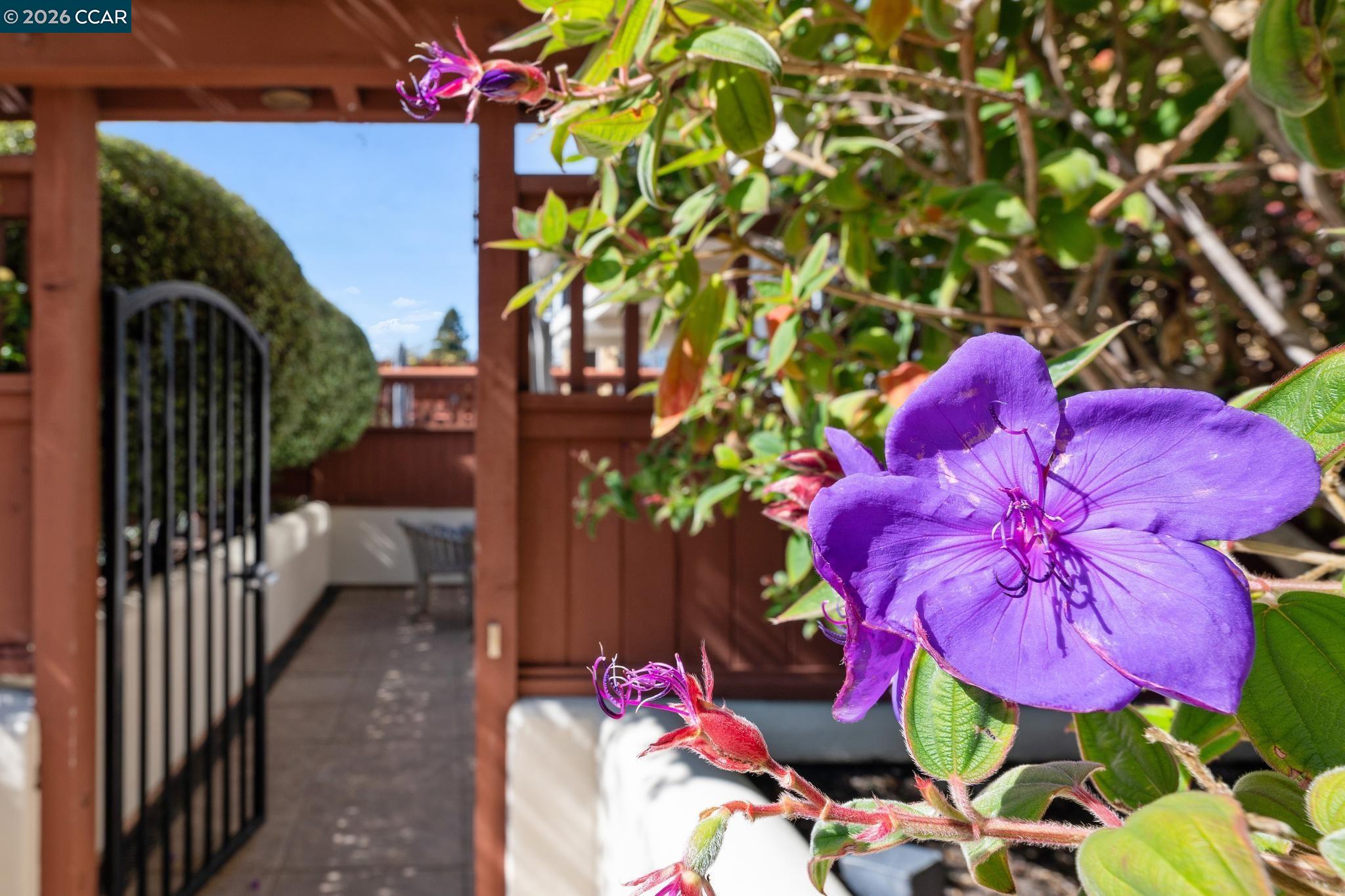 Detail Gallery Image 17 of 60 For 70 Neds Way, Tiburon,  CA 94920 - 2 Beds | 2/1 Baths