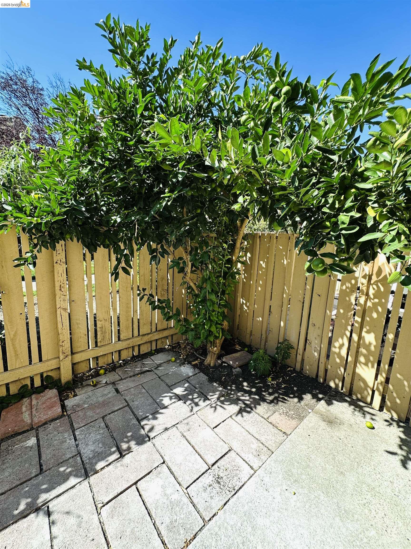 Detail Gallery Image 18 of 20 For 9005 Alcosta Blvd #189,  San Ramon,  CA 94583 - 2 Beds | 2/1 Baths