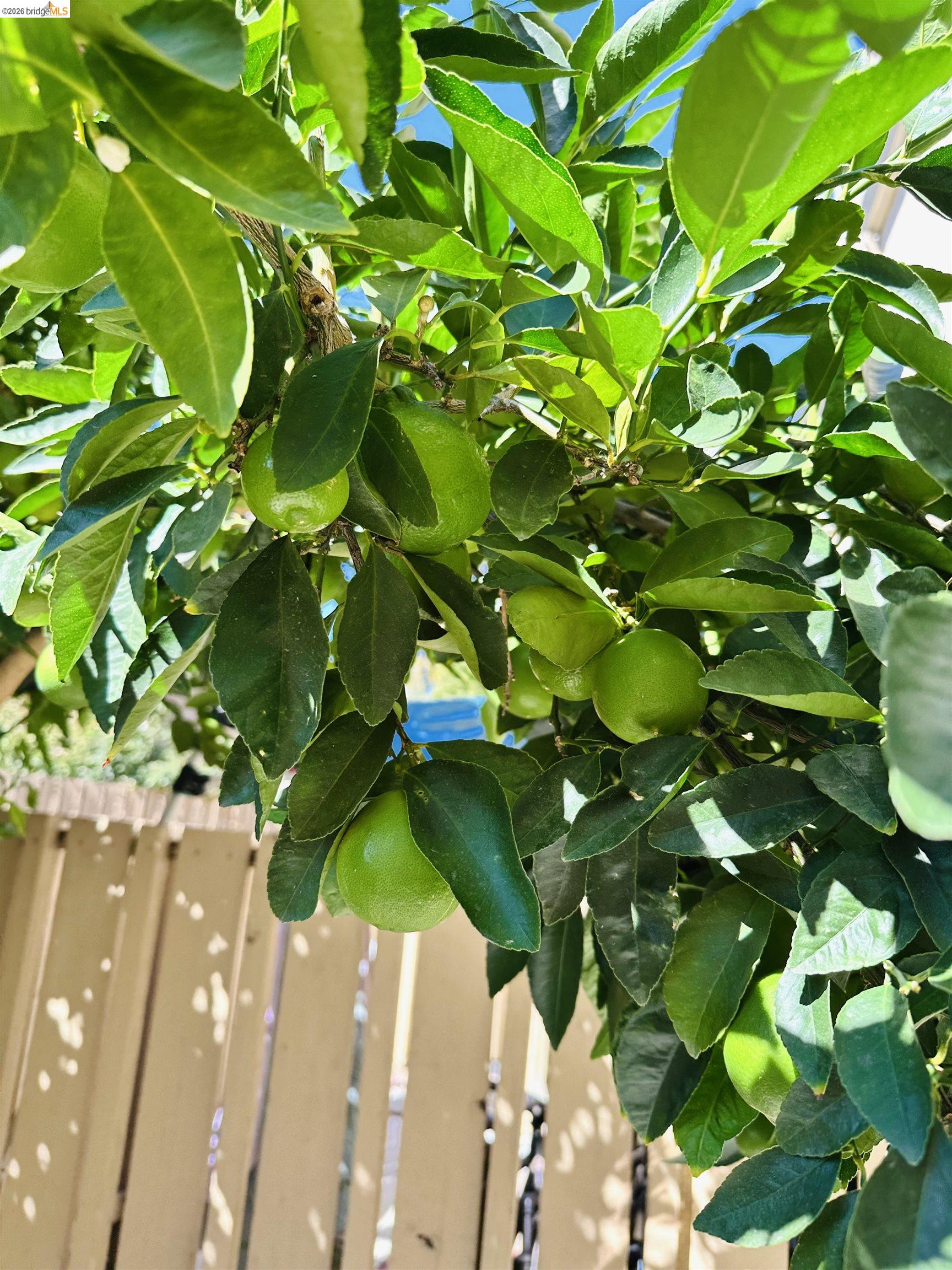 Detail Gallery Image 19 of 20 For 9005 Alcosta Blvd #189,  San Ramon,  CA 94583 - 2 Beds | 2/1 Baths