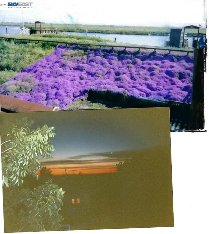 Detail Gallery Image 29 of 30 For 1480 Taylor Rd, Bethel Island,  CA 94511 - – Beds | – Baths