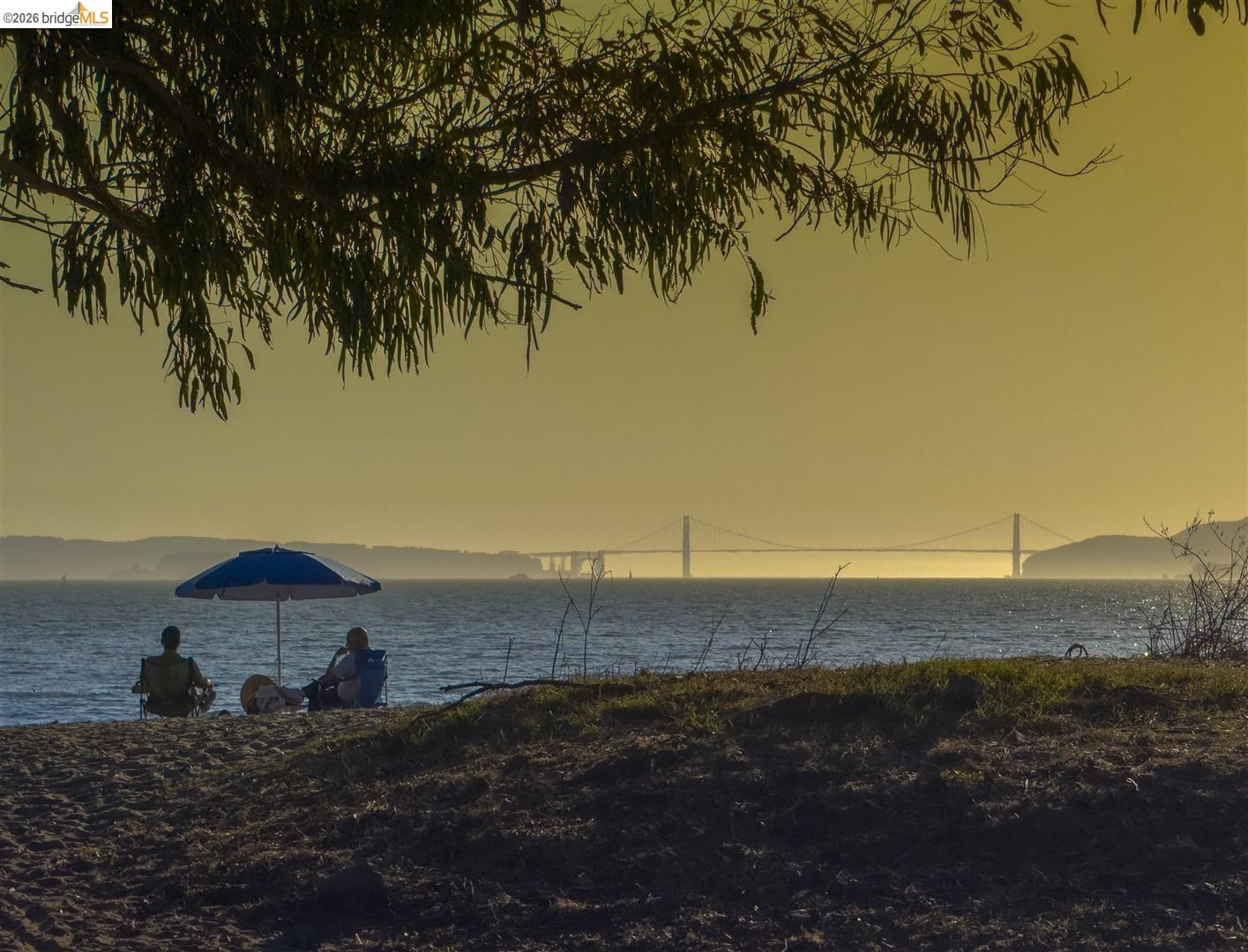 Detail Gallery Image 60 of 60 For 926 Pierce St, Albany,  CA 94706 - 2 Beds | 1 Baths