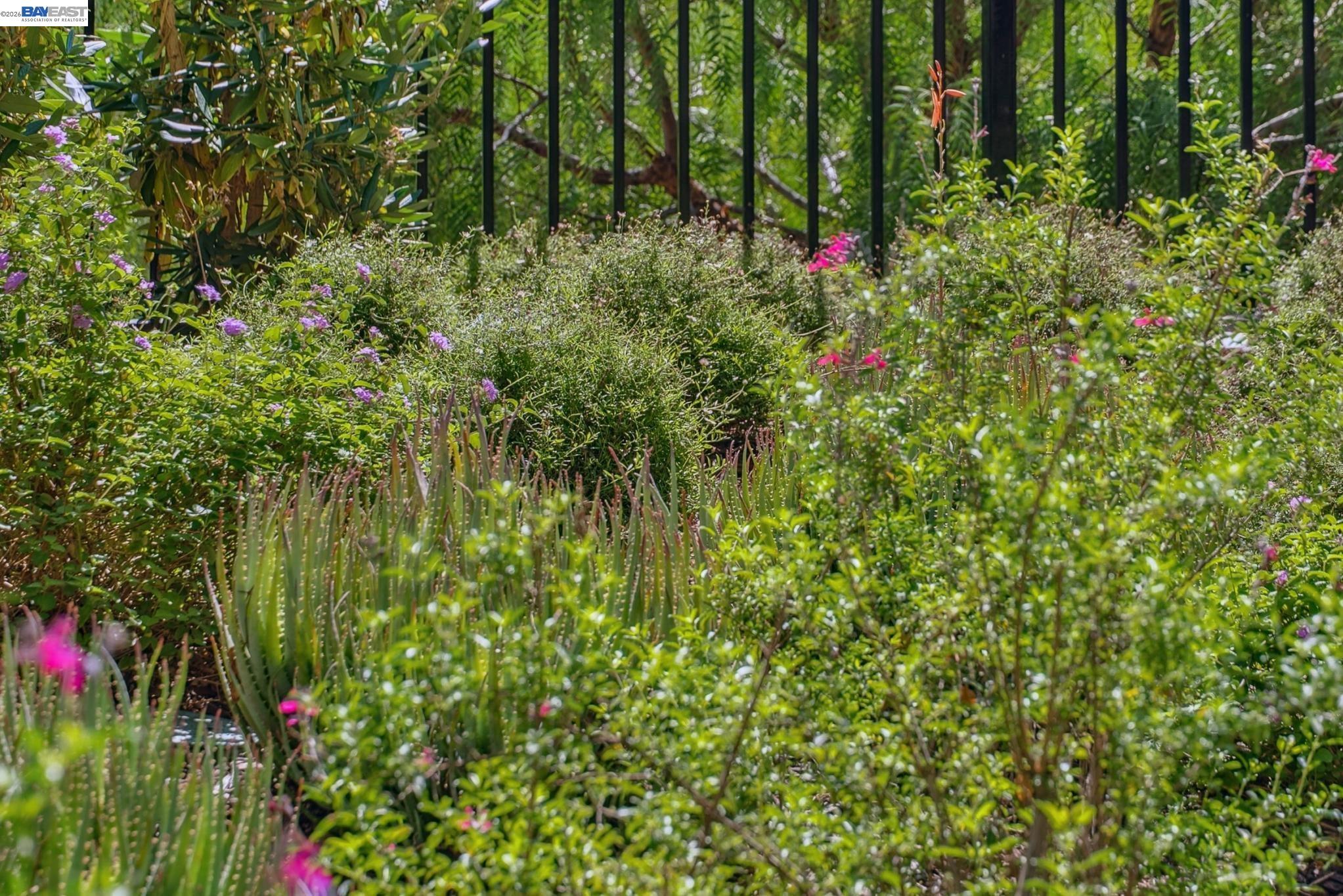 Detail Gallery Image 57 of 60 For 24170 Amaranth Loop, Hayward,  CA 94541 - 3 Beds | 3/1 Baths