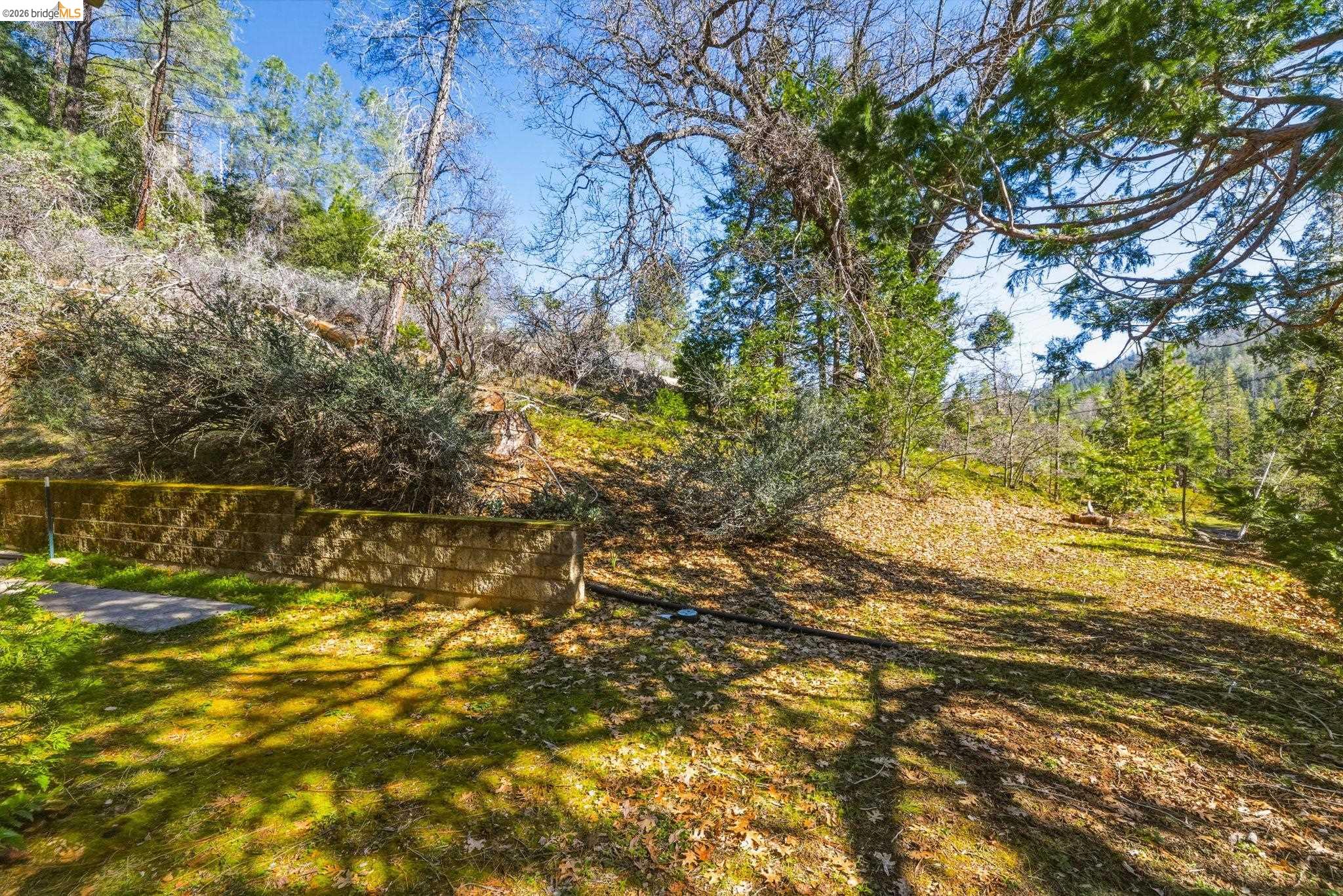 Detail Gallery Image 10 of 32 For 21440 N Tuolumne Rd, Twain Harte,  CA 95383 - 3 Beds | 2 Baths