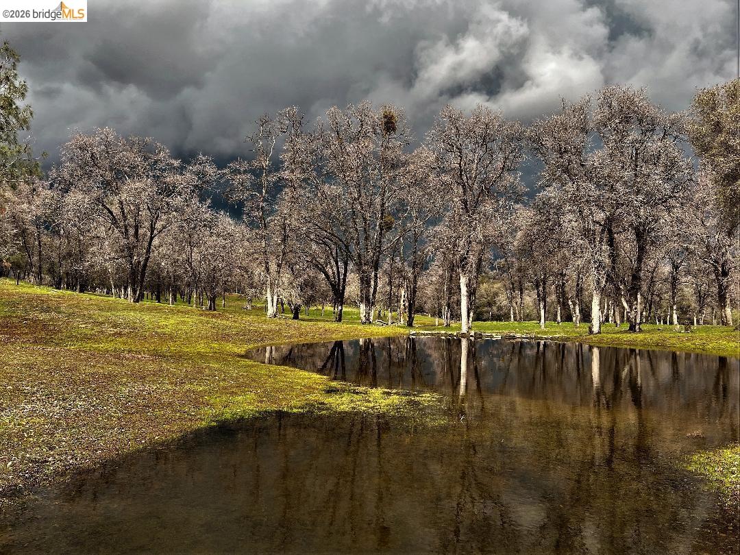 Detail Gallery Image 40 of 47 For 26255 Powell Ranch Rd, Sonora,  CA 95370 - 4 Beds | 4/1 Baths