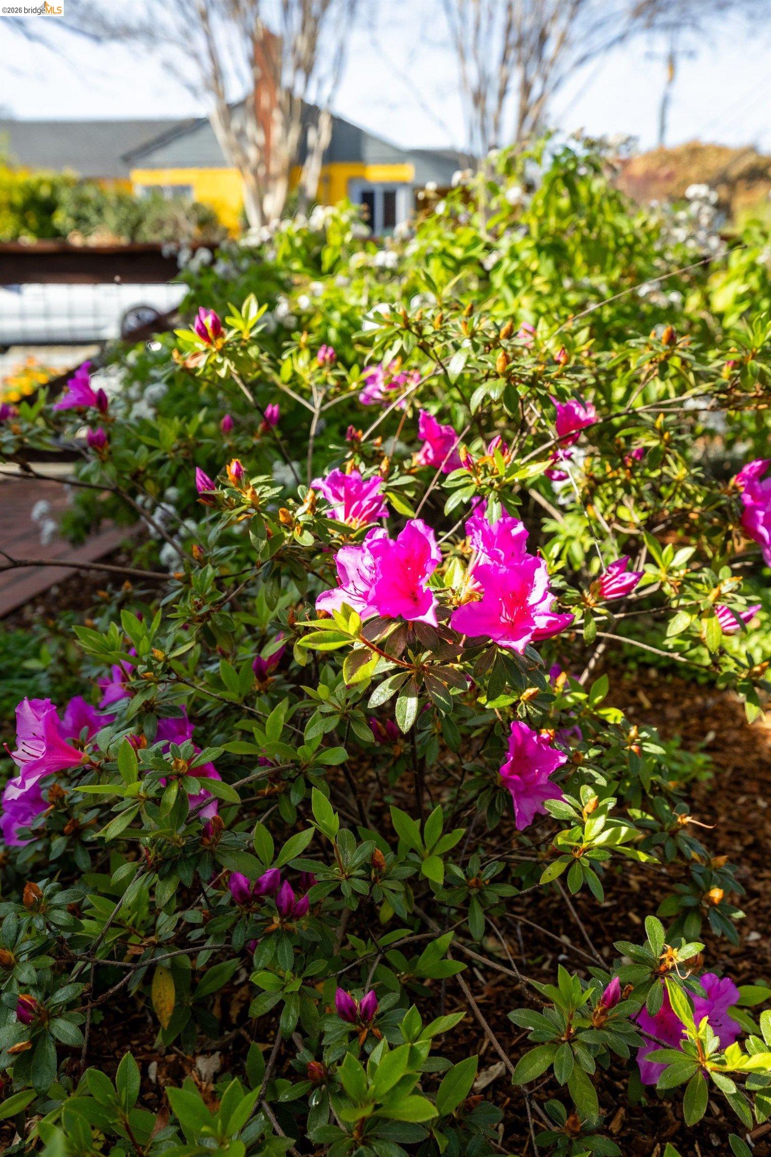 Detail Gallery Image 51 of 57 For 409 Pershing Dr, San Leandro,  CA 94577 - 3 Beds | 2 Baths