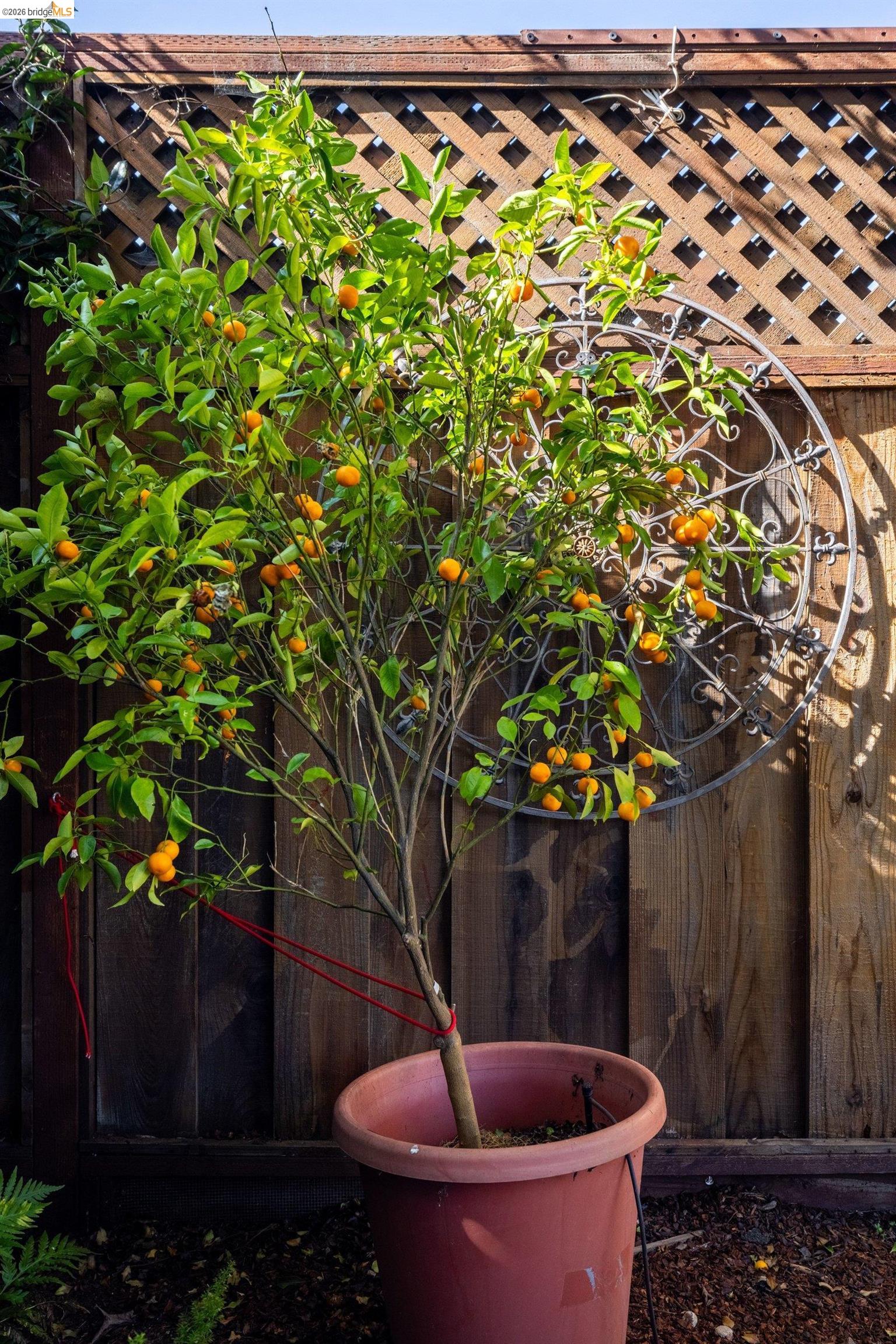 Detail Gallery Image 52 of 57 For 409 Pershing Dr, San Leandro,  CA 94577 - 3 Beds | 2 Baths