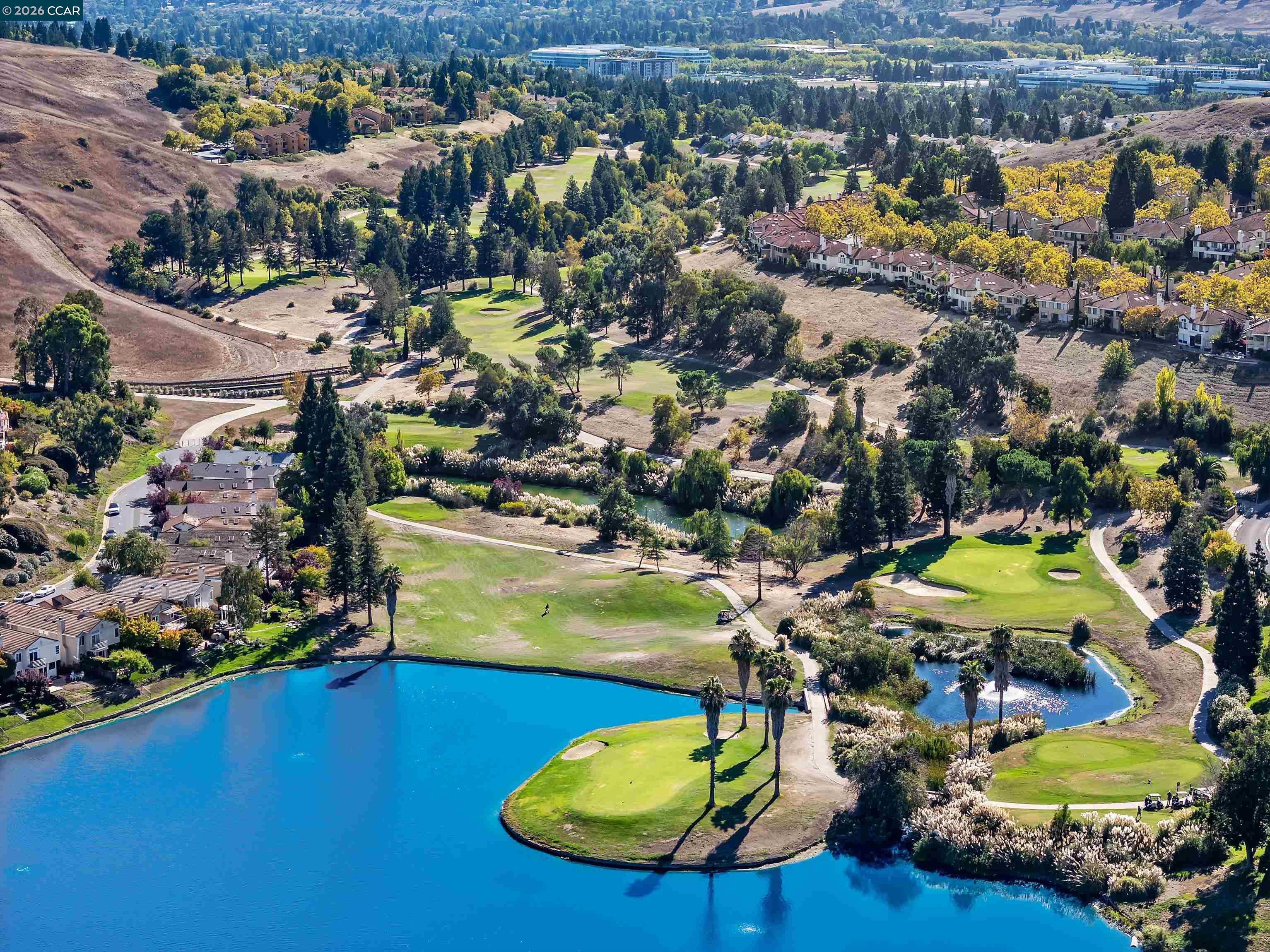 Photo #51: 41126608 Listing: Photo #51