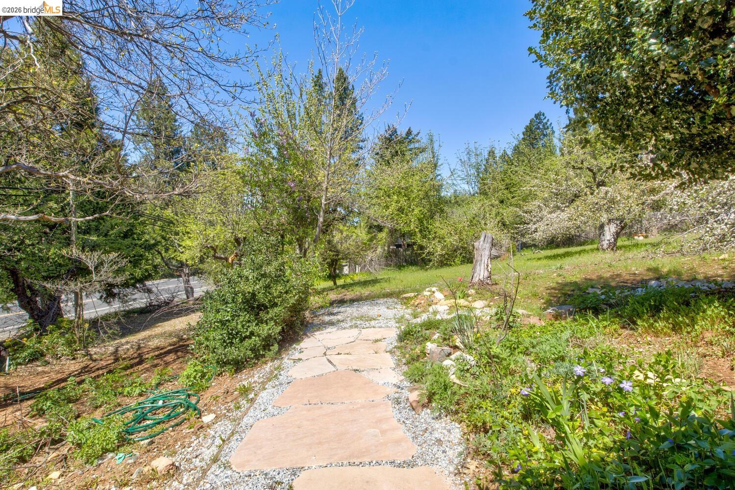 Detail Gallery Image 51 of 54 For 1869 Highway 4, Arnold,  CA 95223 - 3 Beds | 1/1 Baths