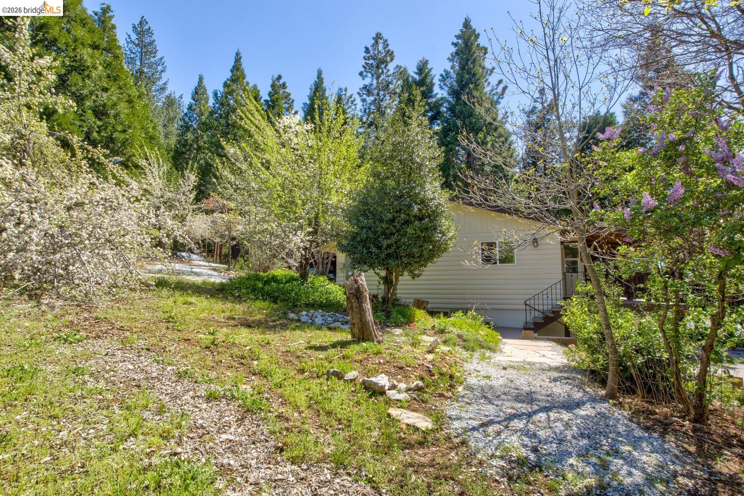 Detail Gallery Image 52 of 54 For 1869 Highway 4, Arnold,  CA 95223 - 3 Beds | 1/1 Baths