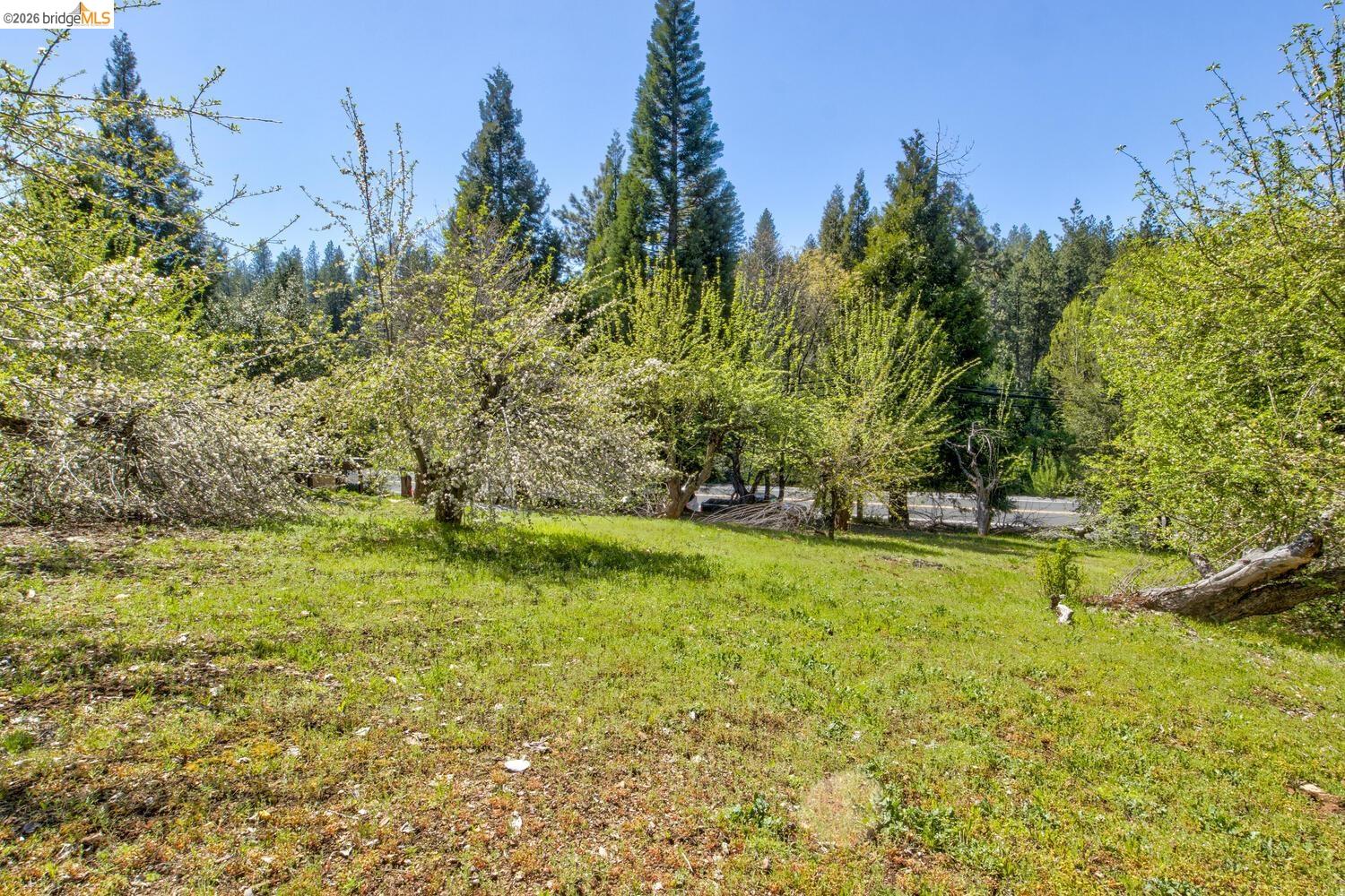 Detail Gallery Image 53 of 54 For 1869 Highway 4, Arnold,  CA 95223 - 3 Beds | 1/1 Baths