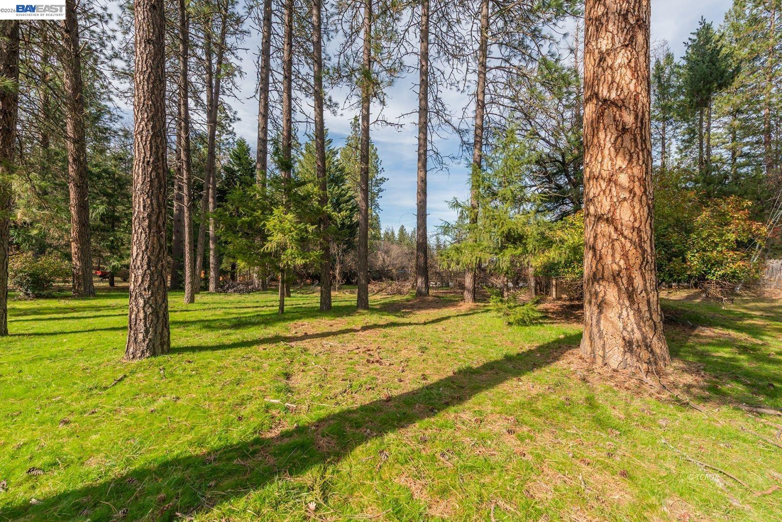 Detail Gallery Image 2 of 47 For 376 Mountain View Dr., Lewiston,  CA 96052 - 2 Beds | 2 Baths