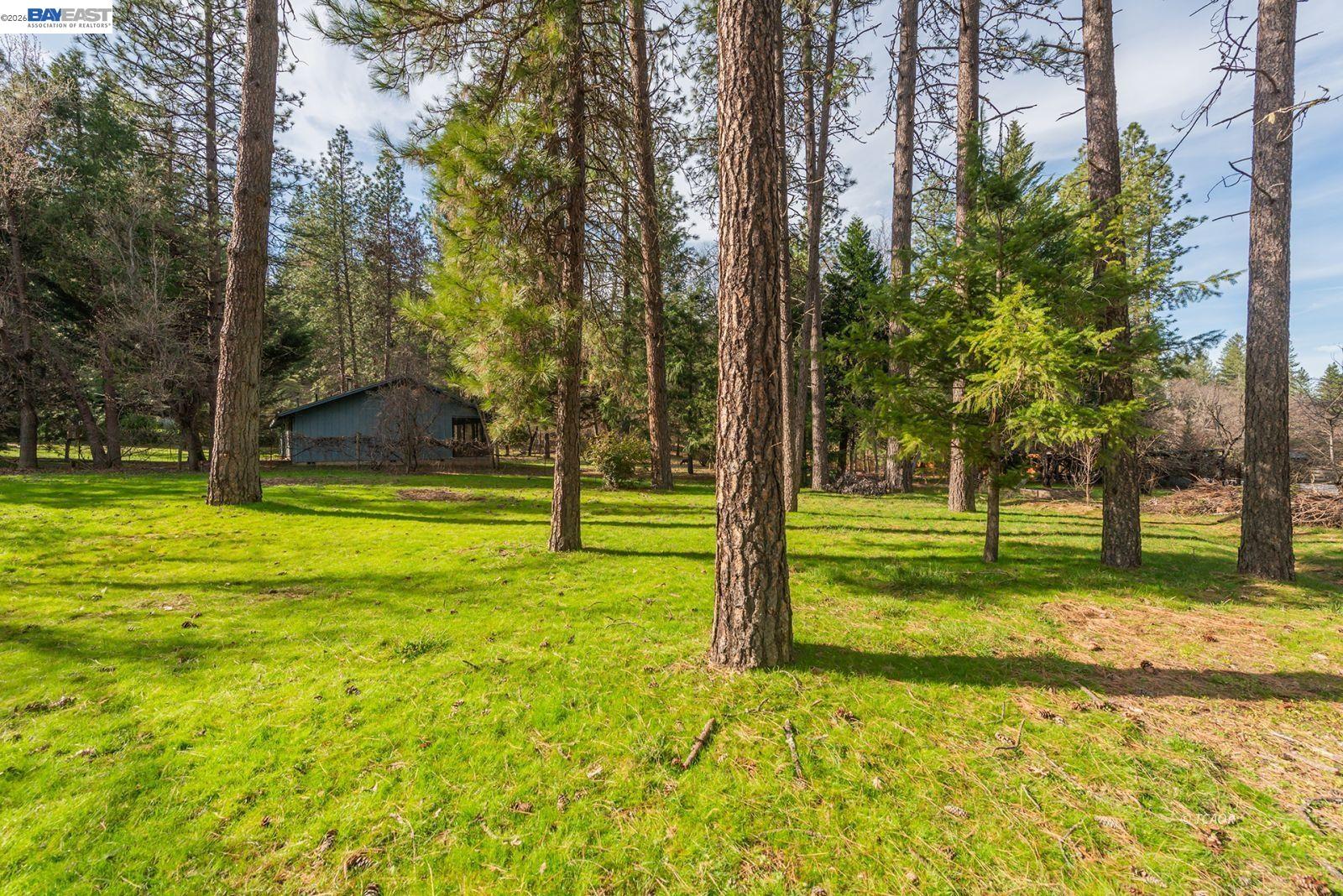 Detail Gallery Image 39 of 47 For 376 Mountain View Dr., Lewiston,  CA 96052 - 2 Beds | 2 Baths