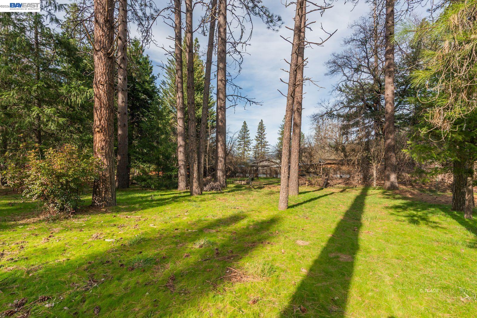 Detail Gallery Image 40 of 47 For 376 Mountain View Dr., Lewiston,  CA 96052 - 2 Beds | 2 Baths