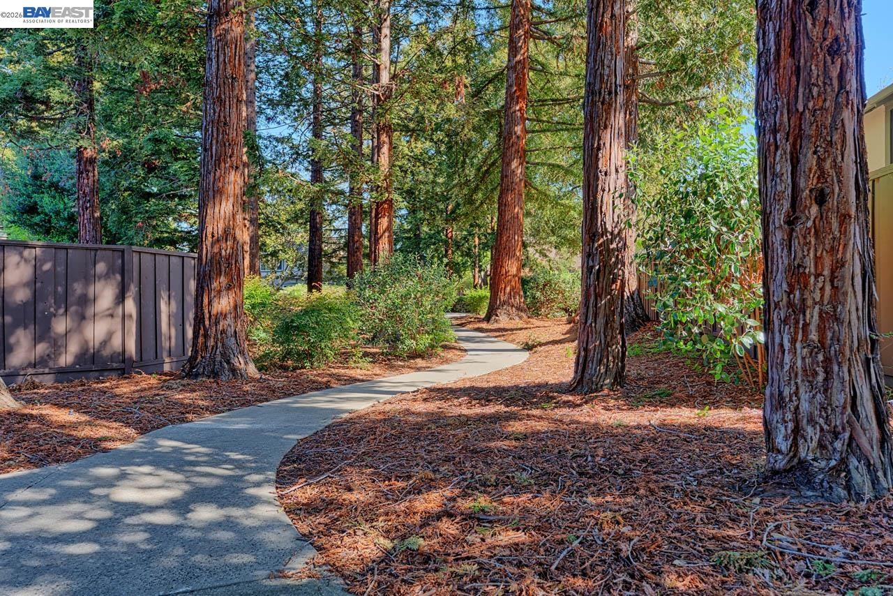 Detail Gallery Image 29 of 30 For 4235 Tanager Cmn, Fremont,  CA 94555 - 3 Beds | 1/1 Baths