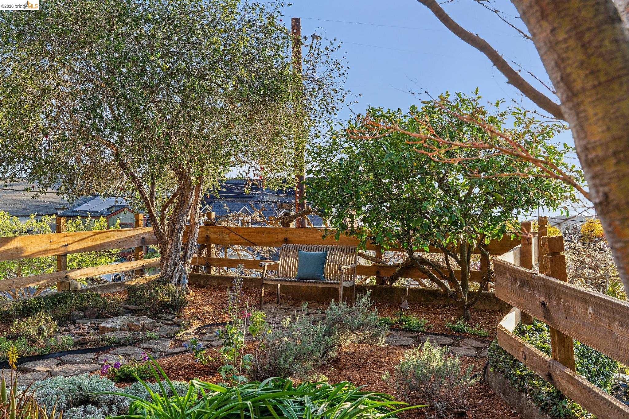 Detail Gallery Image 11 of 60 For 249 Trinity Ave, Kensington,  CA 94708 - 3 Beds | 2/1 Baths