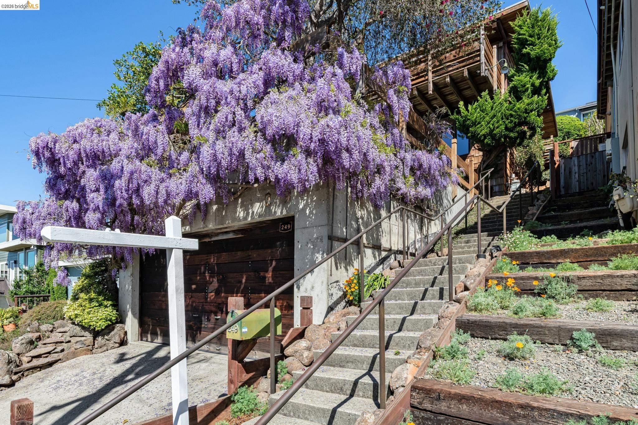 Detail Gallery Image 5 of 60 For 249 Trinity Ave, Kensington,  CA 94708 - 3 Beds | 2/1 Baths