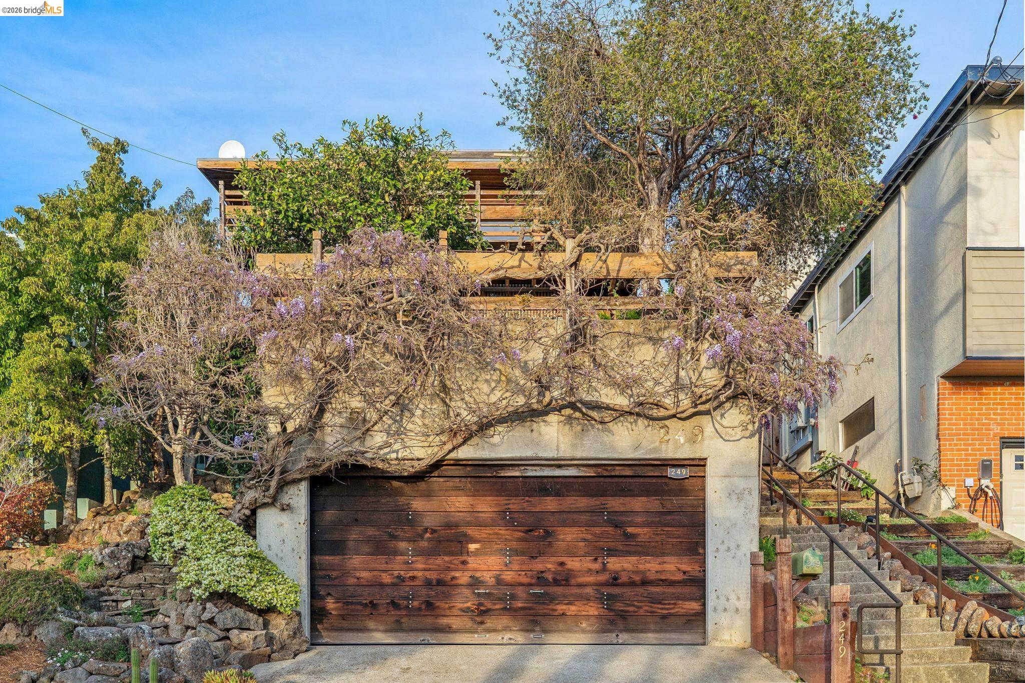 Detail Gallery Image 59 of 60 For 249 Trinity Ave, Kensington,  CA 94708 - 3 Beds | 2/1 Baths