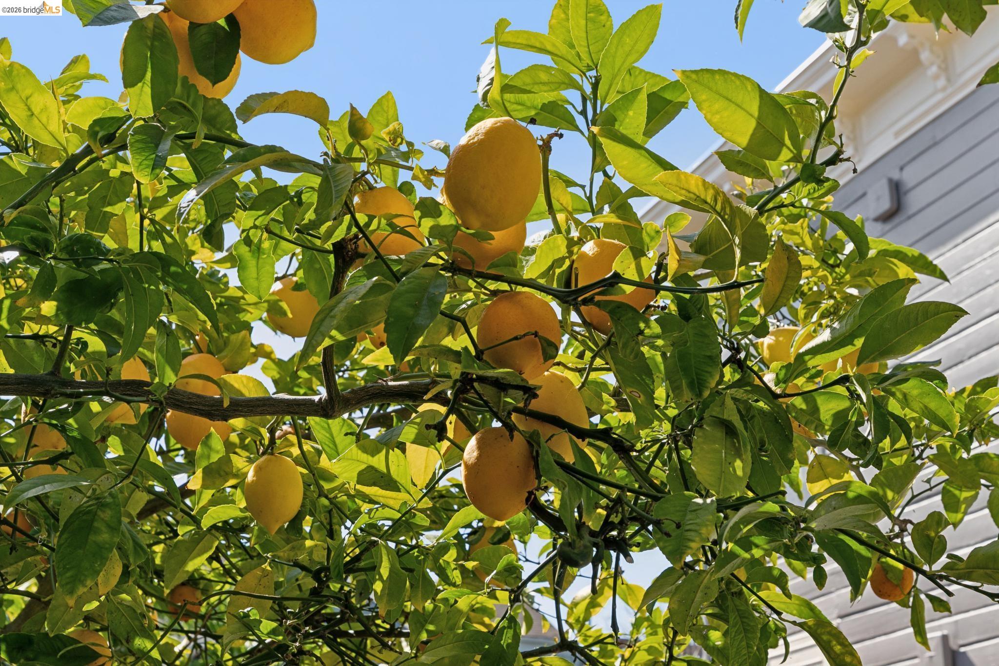 Detail Gallery Image 32 of 52 For 1655 12th Street, Oakland,  CA 94607 - – Beds | – Baths