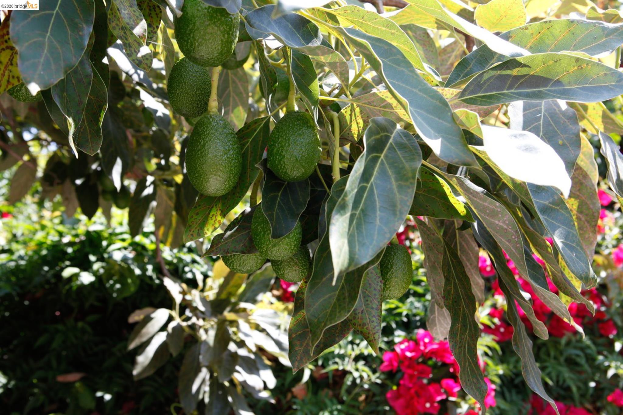 Detail Gallery Image 37 of 52 For 1655 12th Street, Oakland,  CA 94607 - – Beds | – Baths