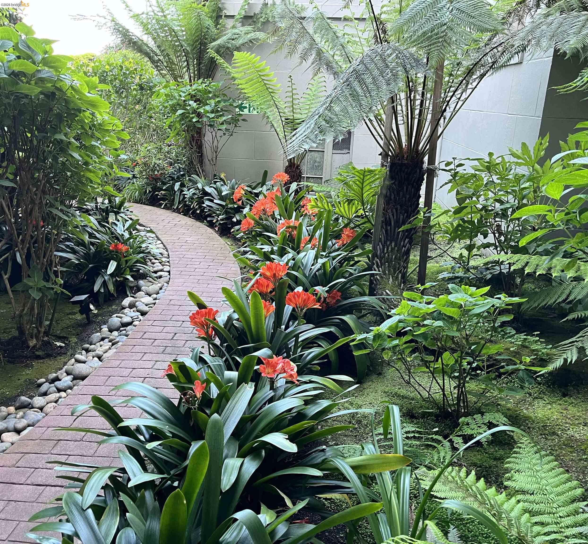 Photo #22: 41126706 Listing: Photo #22