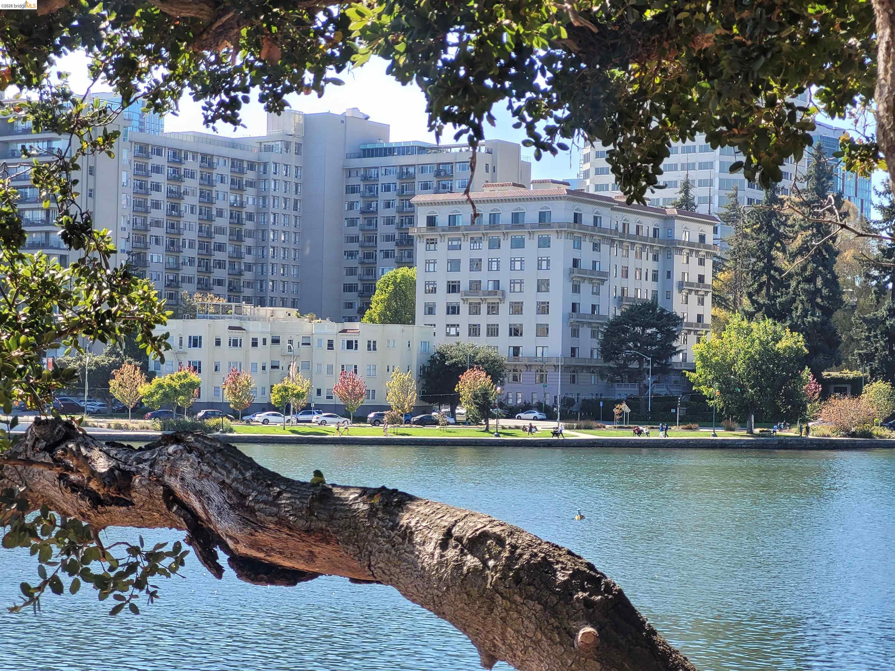 Photo #23: 41126706 Listing: Photo #23