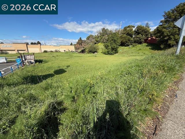 Front Image Thumbnail for CC41126716