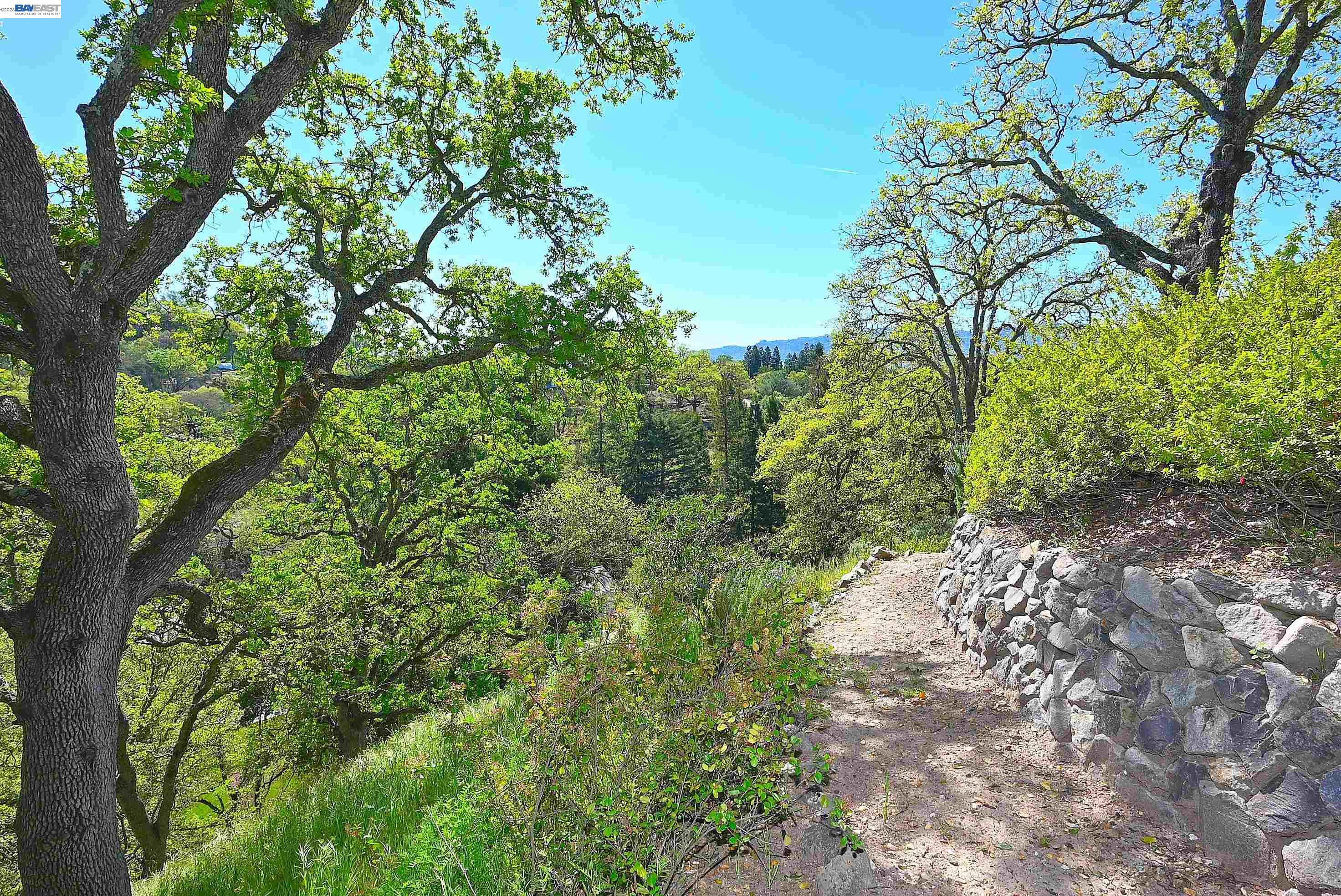 Detail Gallery Image 38 of 49 For 16 Ardendale Ct, Alamo,  CA 94507 - 4 Beds | 3/1 Baths