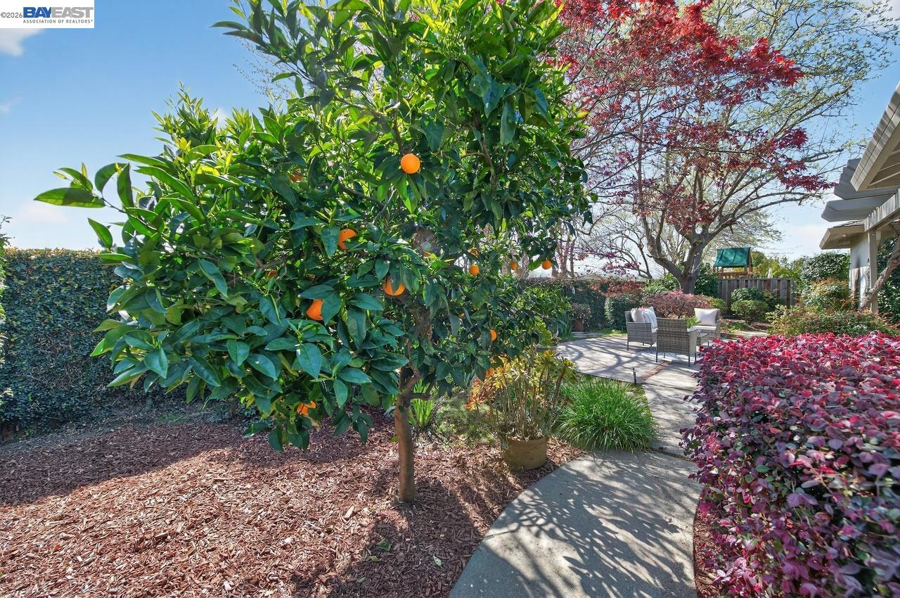 Detail Gallery Image 38 of 50 For 555 Ontario Dr, Livermore,  CA 94550 - 3 Beds | 2 Baths