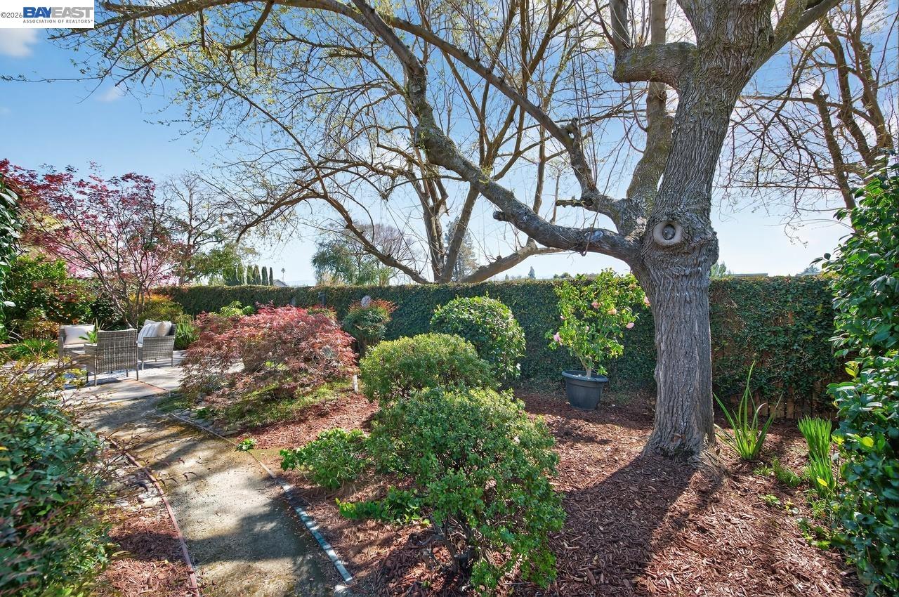 Detail Gallery Image 41 of 50 For 555 Ontario Dr, Livermore,  CA 94550 - 3 Beds | 2 Baths