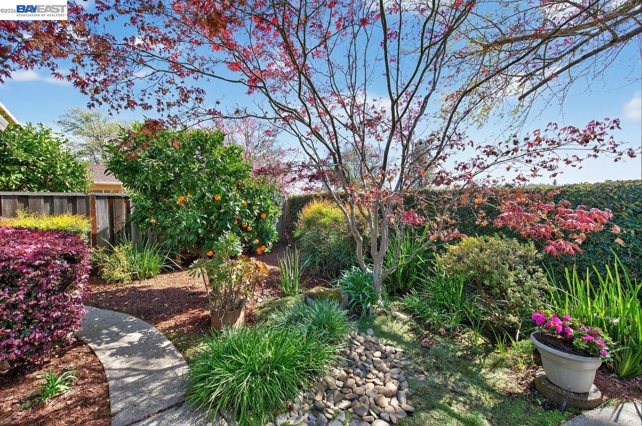 Detail Gallery Image 44 of 50 For 555 Ontario Dr, Livermore,  CA 94550 - 3 Beds | 2 Baths