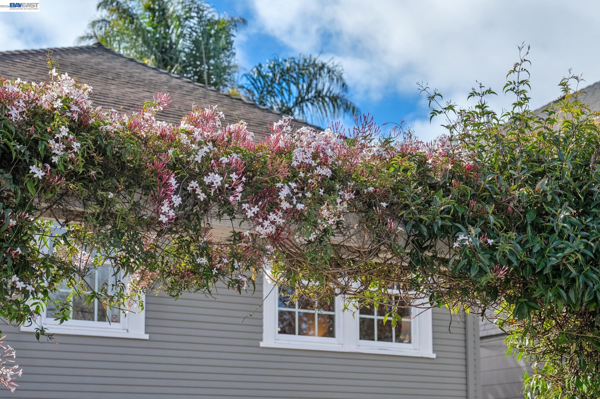 Detail Gallery Image 53 of 55 For 1059 59th Street, Oakland,  CA 94608 - 2 Beds | 2/1 Baths