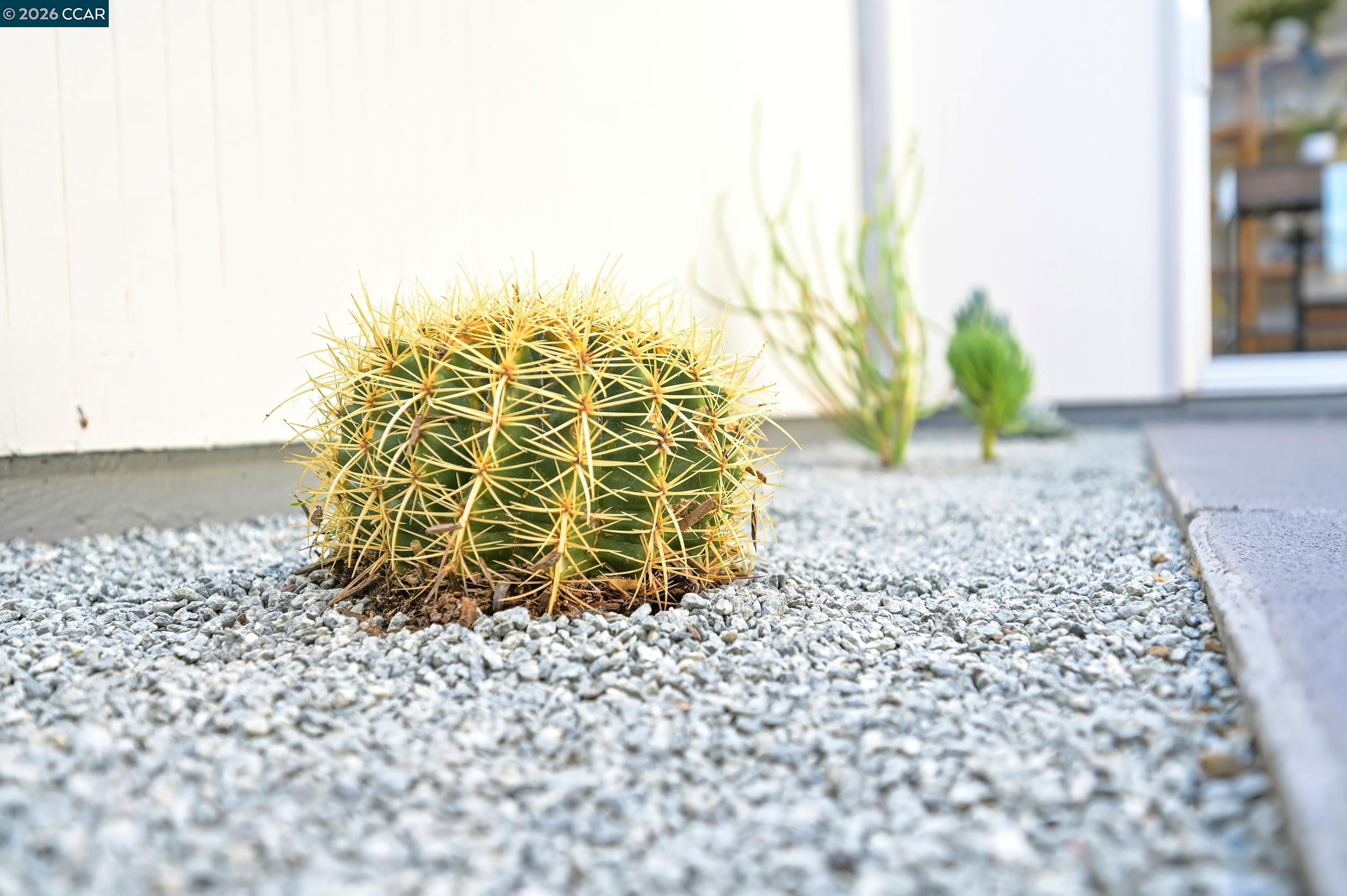 Detail Gallery Image 46 of 47 For 4024 Salem St, Concord,  CA 94521 - 4 Beds | 2 Baths