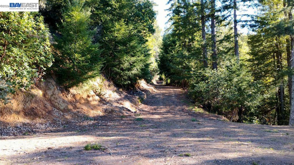 Detail Gallery Image 17 of 18 For 8990 Signal Ridge Rd, Philo,  CA 95466 - 0 Beds | 1 Baths