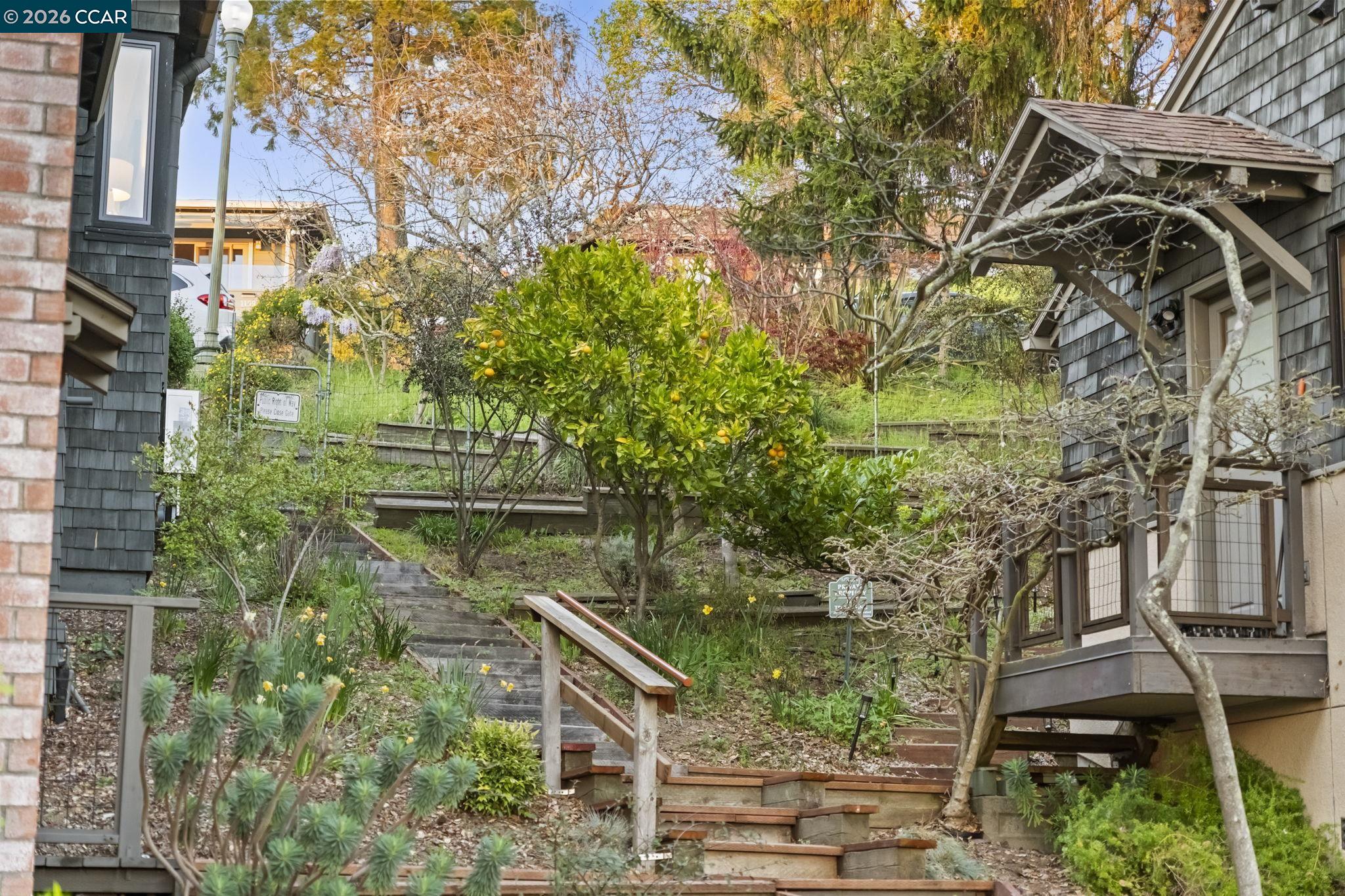 Detail Gallery Image 55 of 57 For 1160 Miller, Berkeley,  CA 94708 - 4 Beds | 3 Baths